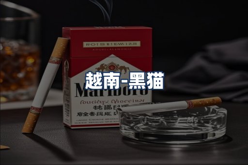 越南黑猫